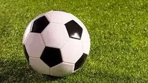 刘亦菲代言争议：阿玛尼至宝格丽，揭秘背后的曲折历程