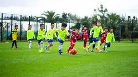 球盟会官方网站入口 产品 105043 vtl