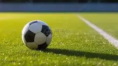 球盟会官方网站入口 产品 092741 2lp